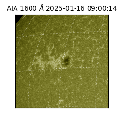 saia - 2025-01-16T09:00:14.129000