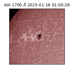 saia - 2025-01-16T01:00:28.725000