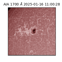 saia - 2025-01-16T11:00:28.718000