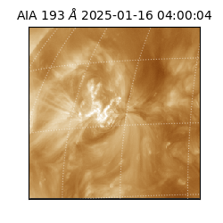 saia - 2025-01-16T04:00:04.843000