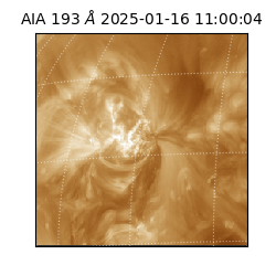 saia - 2025-01-16T11:00:04.843000