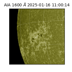 saia - 2025-01-16T11:00:14.131000