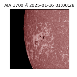 saia - 2025-01-16T01:00:28.725000