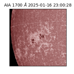 saia - 2025-01-16T23:00:28.710000