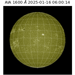 saia - 2025-01-16T06:00:14.126000