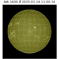 saia - 2025-01-16T11:00:14.131000