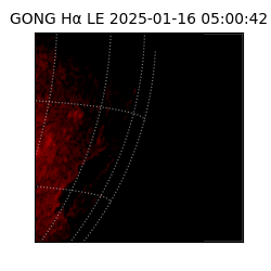 gong - 2025-01-16T05:00:42