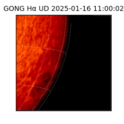 gong - 2025-01-16T11:00:02