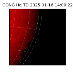 gong - 2025-01-16T14:00:22