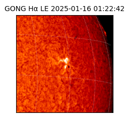 gong - 2025-01-16T01:22:42