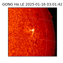 gong - 2025-01-16T03:01:42