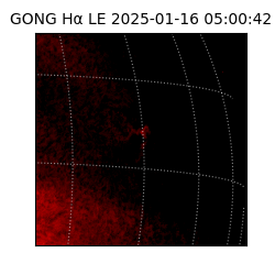 gong - 2025-01-16T05:00:42