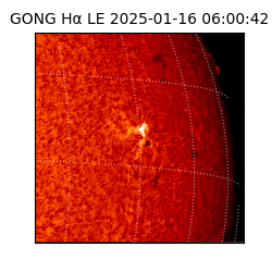 gong - 2025-01-16T06:00:42