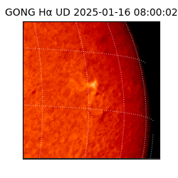 gong - 2025-01-16T08:00:02