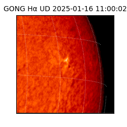 gong - 2025-01-16T11:00:02