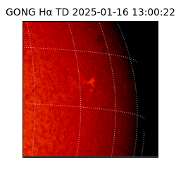 gong - 2025-01-16T13:00:22