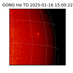 gong - 2025-01-16T15:00:22