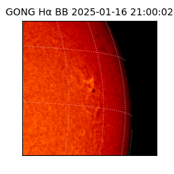 gong - 2025-01-16T21:00:02