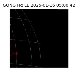 gong - 2025-01-16T05:00:42