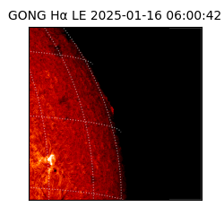 gong - 2025-01-16T06:00:42