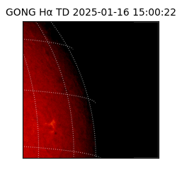 gong - 2025-01-16T15:00:22