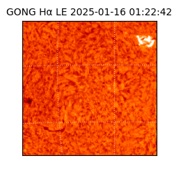gong - 2025-01-16T01:22:42