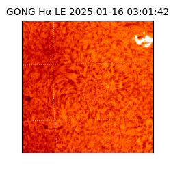 gong - 2025-01-16T03:01:42