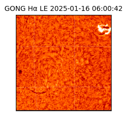 gong - 2025-01-16T06:00:42