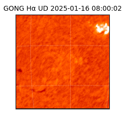 gong - 2025-01-16T08:00:02