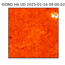 gong - 2025-01-16T09:00:02