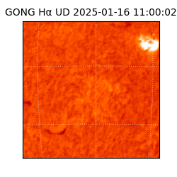 gong - 2025-01-16T11:00:02