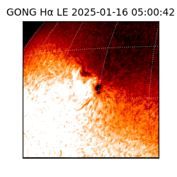 gong - 2025-01-16T05:00:42