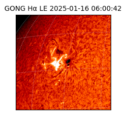 gong - 2025-01-16T06:00:42