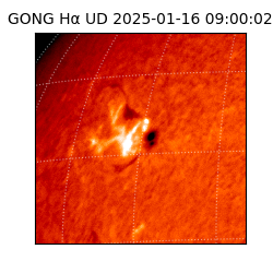 gong - 2025-01-16T09:00:02