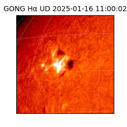 gong - 2025-01-16T11:00:02