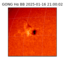 gong - 2025-01-16T21:00:02