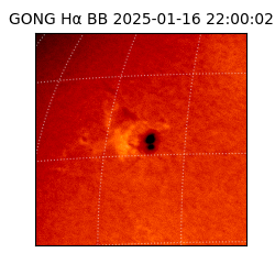 gong - 2025-01-16T22:00:02