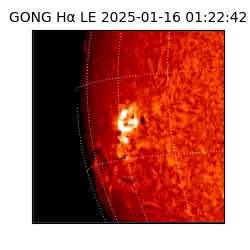 gong - 2025-01-16T01:22:42