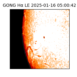 gong - 2025-01-16T05:00:42