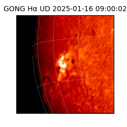 gong - 2025-01-16T09:00:02
