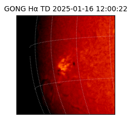 gong - 2025-01-16T12:00:22