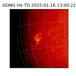 gong - 2025-01-16T13:00:22