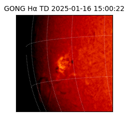 gong - 2025-01-16T15:00:22