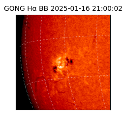 gong - 2025-01-16T21:00:02