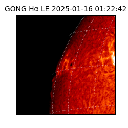 gong - 2025-01-16T01:22:42