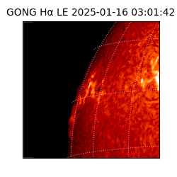 gong - 2025-01-16T03:01:42