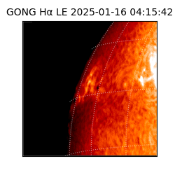 gong - 2025-01-16T04:15:42