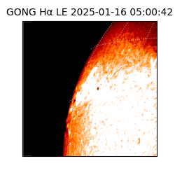 gong - 2025-01-16T05:00:42