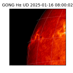 gong - 2025-01-16T08:00:02