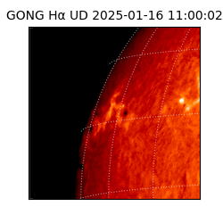 gong - 2025-01-16T11:00:02